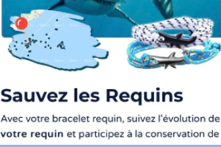 Pourquoi ces bracelet censés sauver des animaux sont le pire cadeau de Noël pour la biodiversité