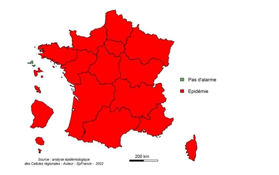 The level of alert is maximum in France concerning the flu epidemic, according to the latest data published by Santé Publique France on December 21.