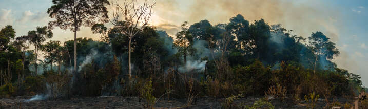 Photo prise en 2015 d’une forêt en feu à Belterra, en Amazonie brésilienne.
