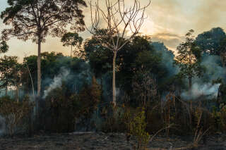 En plus de la déforestation, un tiers de l’Amazonie a aussi été dégradée à cause des humains
