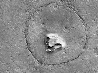 Photographie d’une tête d’ours à la surface de la planète Mars.