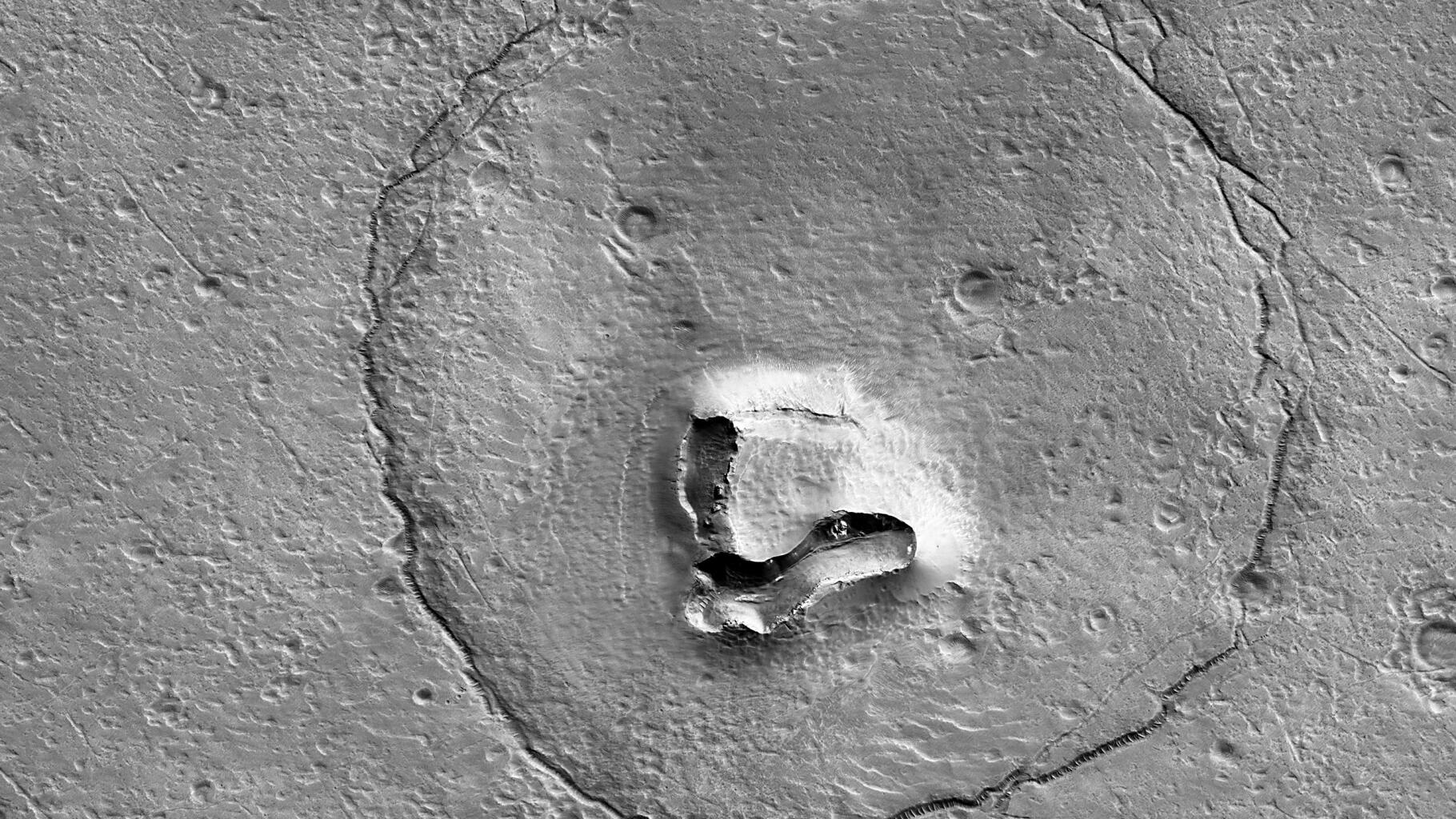 La NASA raffigura un orso su Marte