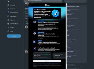 Un onglet « Twitter Blue » permet désormais de payer pour obtenir une version « premium » du réseau social en France.