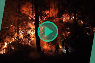 Le Chili est touché par les incendies les plus violents depuis 2017