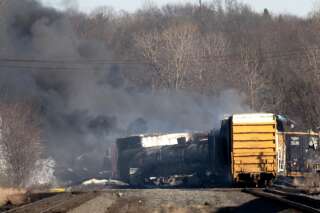Au moins 47 300 animaux seraient morts après le déraillement d’un train dans l’Ohio