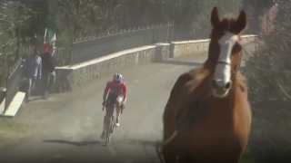 La coureuse néerlandaise Demi Vollering s’est offert une belle frayeur en fin de course lorsqu’un cheval a déboulé devant elle à 15 kilomètres de l’arrivée.