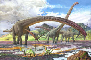 On a découvert un dinosaure au cou plus long qu’un bus