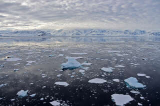 L’Antarctique fond à vitesse grand V, ces chiffres le prouvent encore