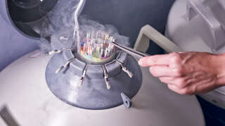 Woman manipulating a Frozen Storage At Sperm Bank witjh nitrogen smoke
