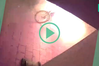 Avec ces vidéos, les pompiers de Londres alertent sur les explosions de batteries de vélos et trottinettes