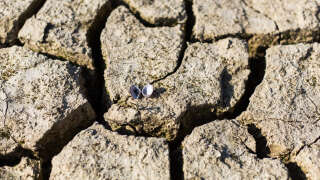 La terre craquelée à cause du manque d’eau au réservoir Montbel à Léran (image d’illustration).