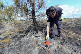 Certaines forêts émettent désormais plus de CO2 qu’elles n’en absorbent. Photo d’illustration, un gendarme examine le sol pour enquêter sur les incendies de forêt, dans le sud de la France, le 25 mai 2023.