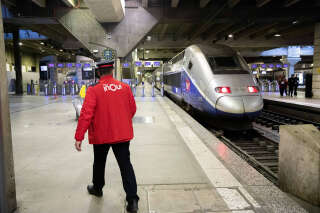 La SNCF écope d’une amende dans l’affaire du chat écrasé gare Montparnasse
