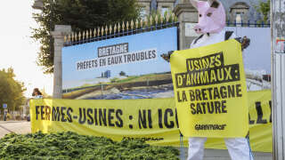 Des activistes de Greenpeace ont déversé près d’une tonne d’algues vertes devant la préfecture du Finistère à Quimper pour dénoncer la prolifération des algues vertes sur le littoral breton, due à l’élevage industriel.

