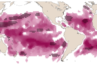 Plus de la moitié des océans ont changé de couleur en 20 ans