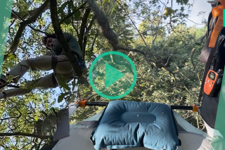Ce YouTubeur a passé une semaine dans un arbre, mais ça ne s’est pas passé comme prévu