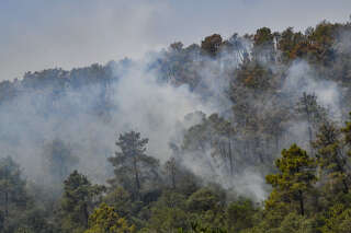 En Algérie, une centaine de feux de forêts fait 15 morts et une trentaine de blessés