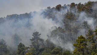 Photo d’illustration d’un incendie dans une forêt à Melloula près de Tabarka, à la frontière nord-ouest de la Tunisie avec l’Algérie, le 20 juillet 2023.