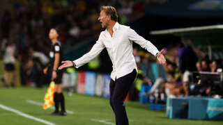L’entraîneur de l’équipe de France féminine Hervé Renard (ici le 29 juillet à Brisbane lors du match France-Brésil) s’est excusé pour son coup de colère.