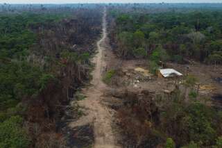 Même tenues, les promesses « anti-déforestation » de Lula peuvent-elles vraiment sauver l’Amazonie ?