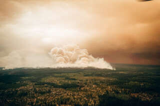 Ce chiffre illustre à quel point les incendies au Canada sont un désastre pour la planète 