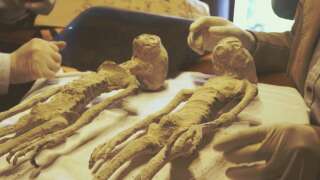 Les « momies » du « documentaire » Unearthing Nazca (2017)