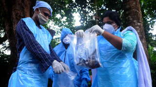 Kozhikode, India - September 07: (BILD ZEITUNG OUT) Officials deposit a bat into a Plastic bag after catching it on September 07, 2021 in Kozhikode, India. The Nipah virus is carried mainly by fruit-eating bats. (Photo by C. K Thanseer/DeFodi images via Getty Images)