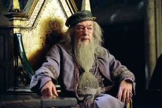 L’hommage de Ron Weasley après la mort d’Albus Dumbledore, « son modèle »