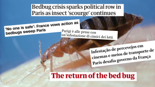 La presse internationale s’inquiète de l’arrivée des punaises de lit dans la capitale française.