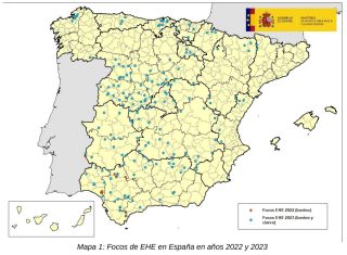 Une centaine de foyers de MHE ont été identifiés en 2023 en Espagne.