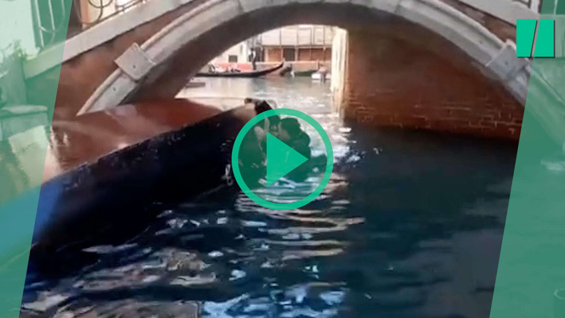 In Venetië kantelde de gondel omdat deze toeristen de perfecte selfie wilden maken