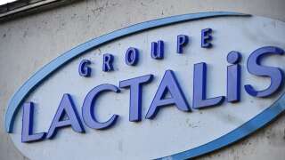 Lactalis is one of the world's largest dairy companies, and owns a number of dairy brands, including Presidente, Lactel, Bridel, and La Lettiere.
