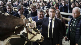 Emmanuel Macron caresse « Oreillette »  lors de sa visite au 60e Salon international de l’agriculture.