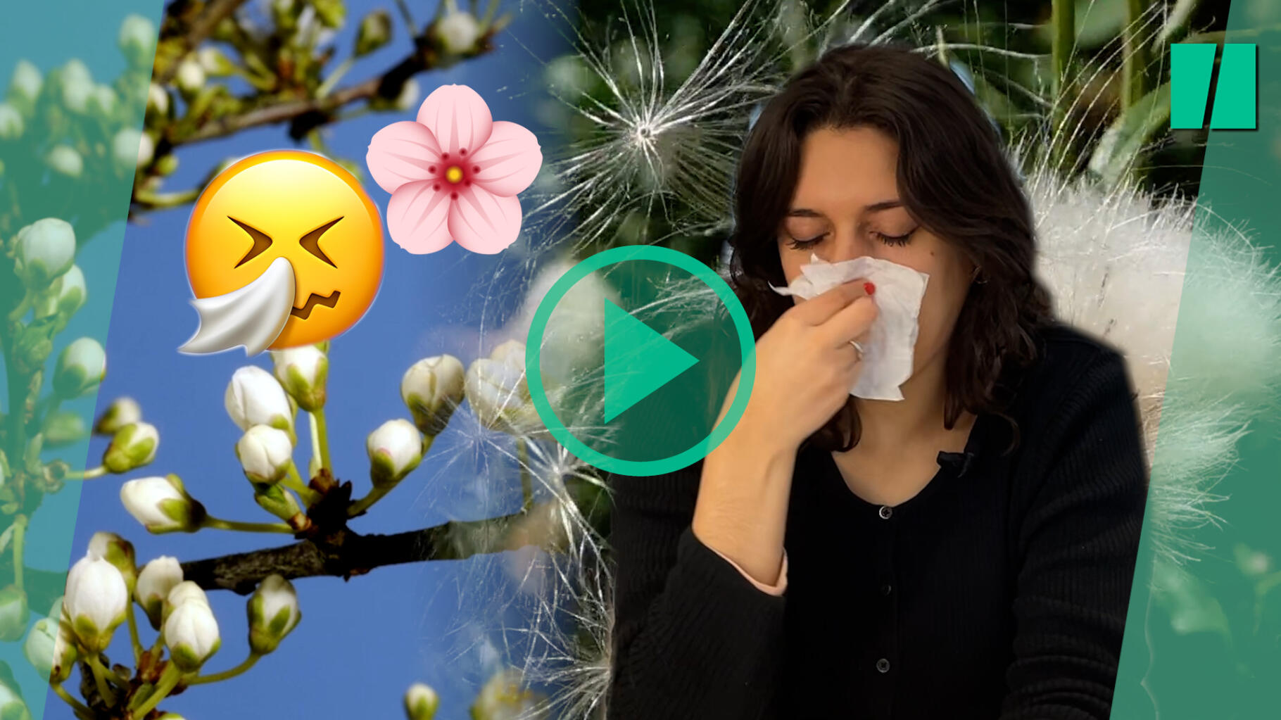 Les bons gestes pour limiter les effets des allergies au pollen