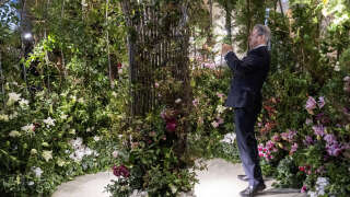 British gardener and broadcaster Alan Titchmarsh takes a photo of one of the exhibits during Winter Flowers Week at the Garden Museum in south London on December 7, 2023. (Photo by Paul Grover / POOL / AFP)