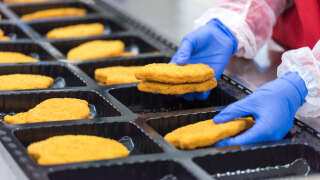 The worker in the factory places the chicken schnitzel