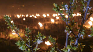 This photograph taken near Vernou-sur-Brenne, central France, on April 4, 2022 shows a fruit tree next to candles being lit in the vineyards to protect them from frost in the Vouvray vineyard. (Photo by GUILLAUME SOUVANT / AFP)