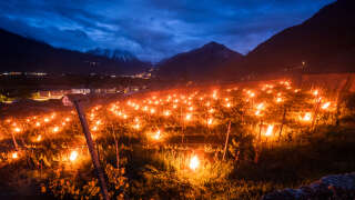 Photo prise le 22 avril 2024 à Fully, en Suisse, où des bougies allumées sont placées dans un vignoble pour garder les plantes au chaud.
