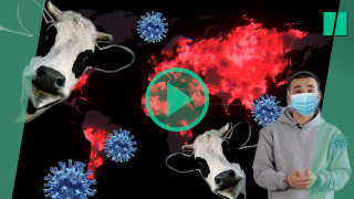 Le virus H5N1 pourrait causer la prochaine pandémie selon plusieurs scientifiques.