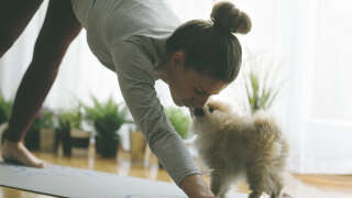 Young woman practicing iyengar yoga at her home and her pomeranian puppy wants to play with her.